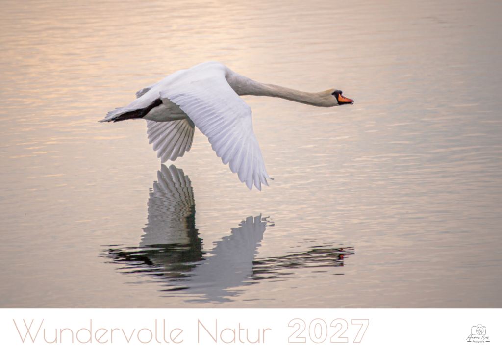 natur groß 27 1
