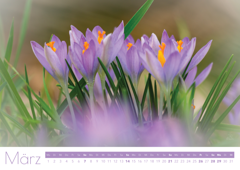 natur groß 27 4