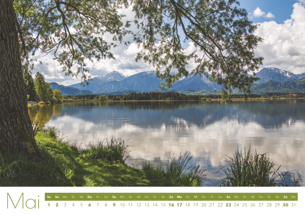 natur groß 27 6