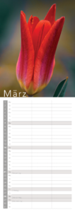 natur 27 17x48 4