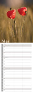 natur 27 17x48 6