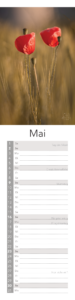 natur 27 6