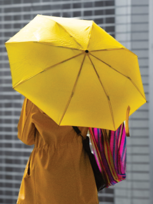 Regenschirme 27 1 E1787674015372