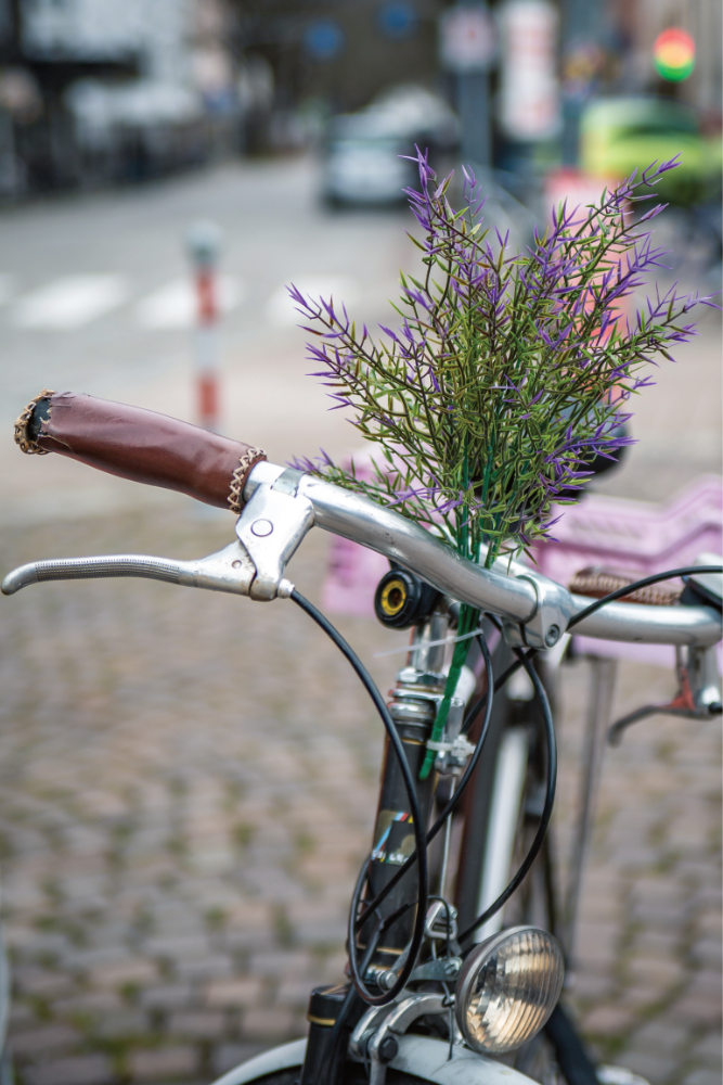 Streetfoto Kalender Immerwaehrend Bunt 1 E1787676107381